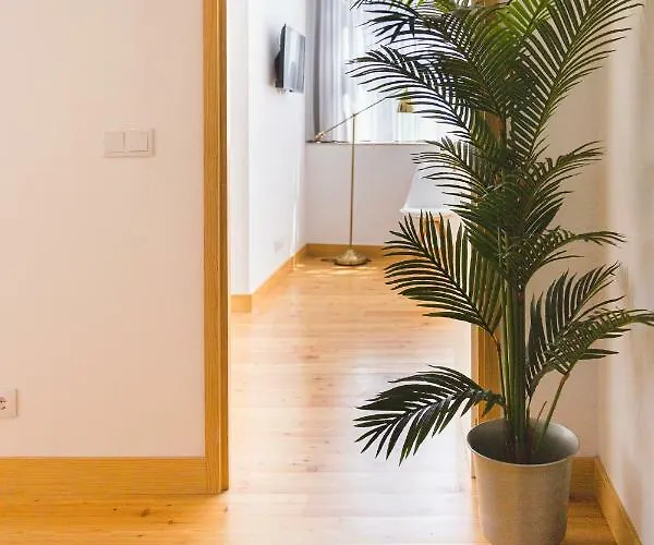 Aposentus - Skyline *